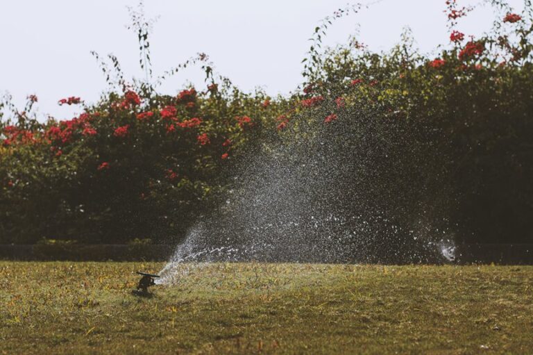 sprinkler watering duration schedule
