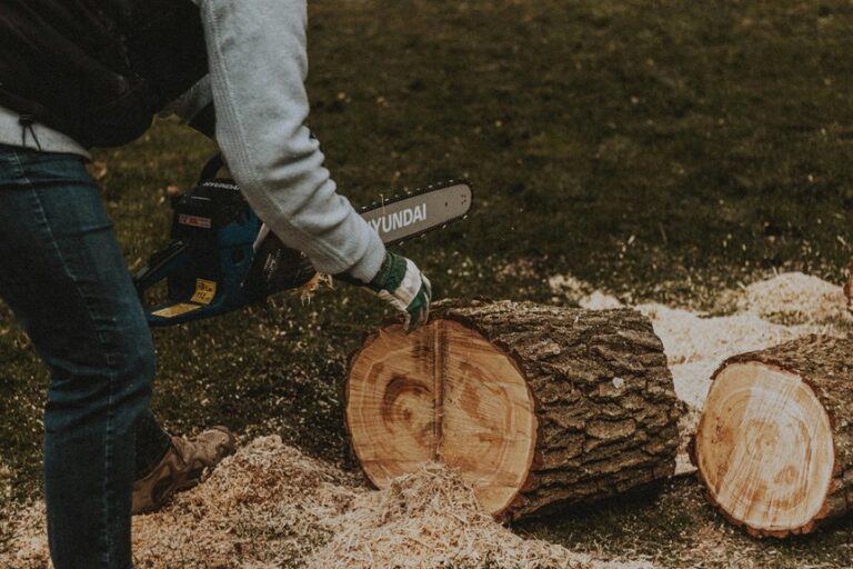 using chainsaw for hedges