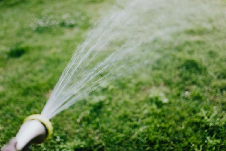 watering lawn invites damage