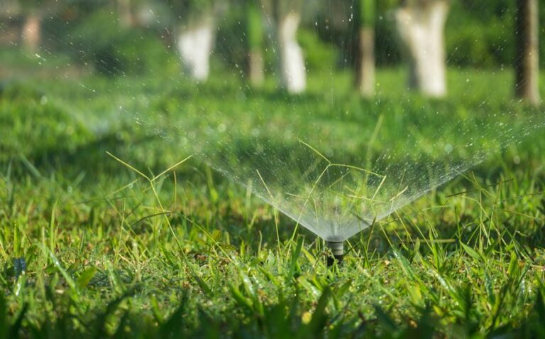 winter lawn soil moisture